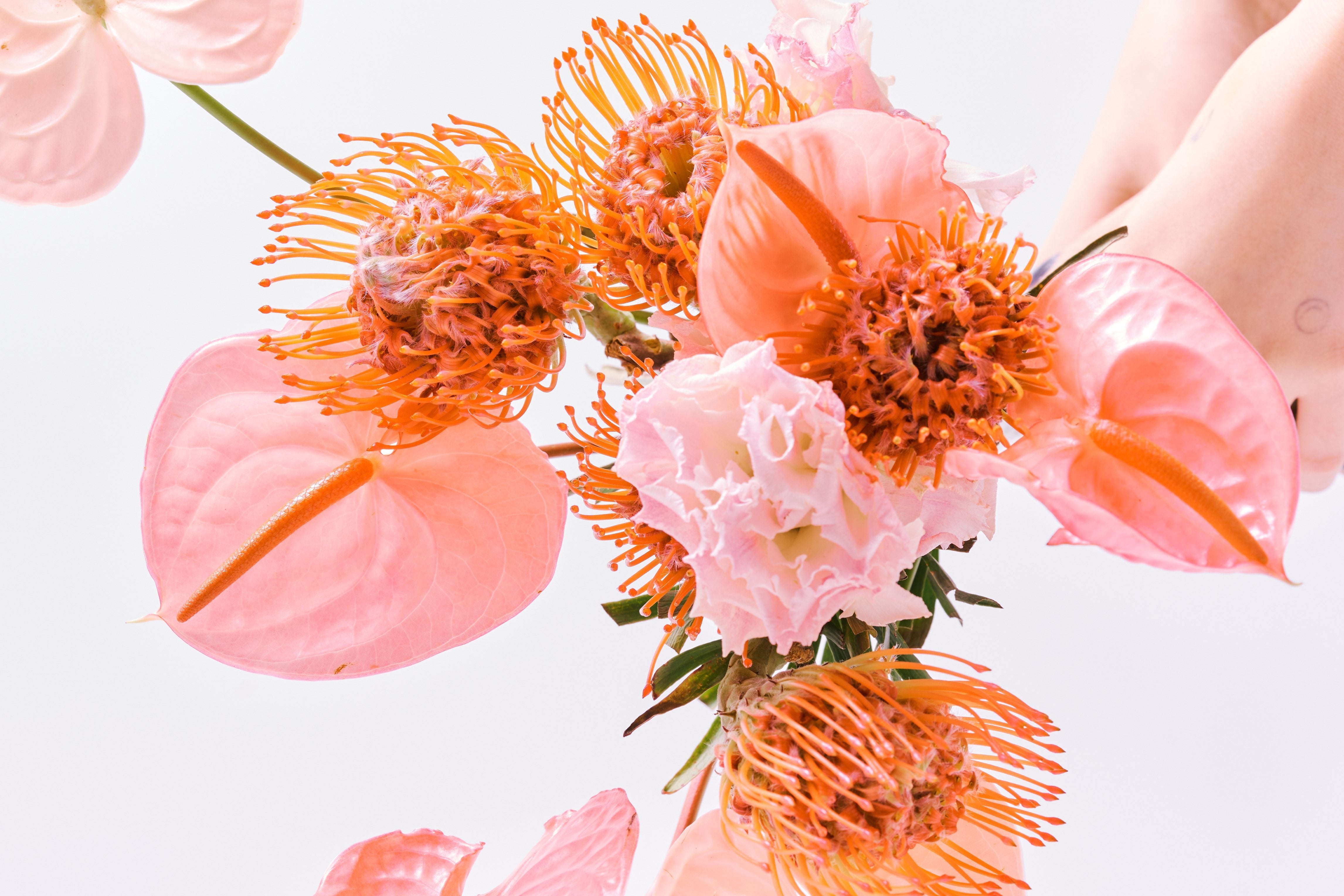 🌷 The Art Of Fempowering 🌷