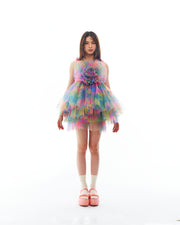 Rainbow Rose Tutu Dress