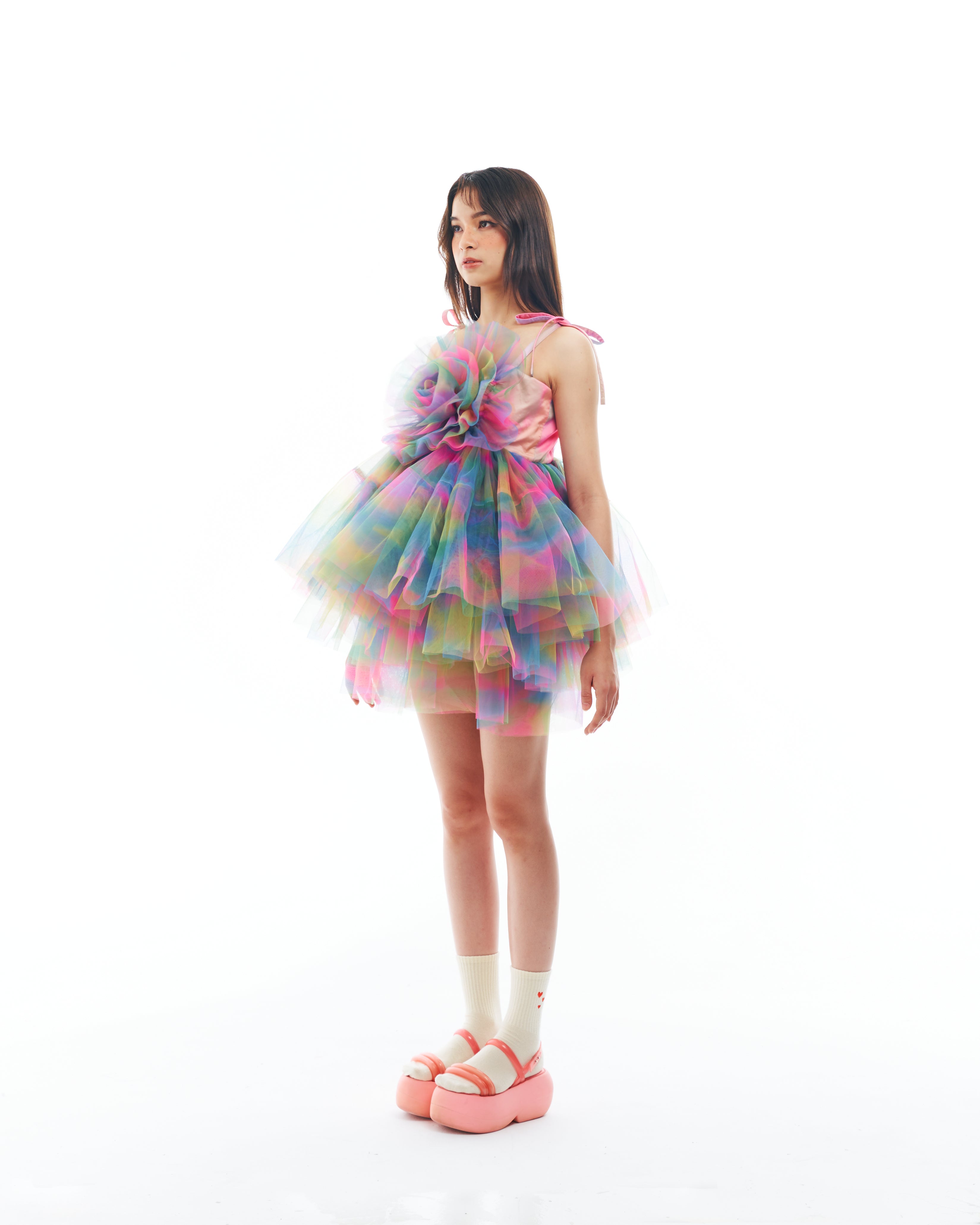 Rainbow Rose Tutu Dress