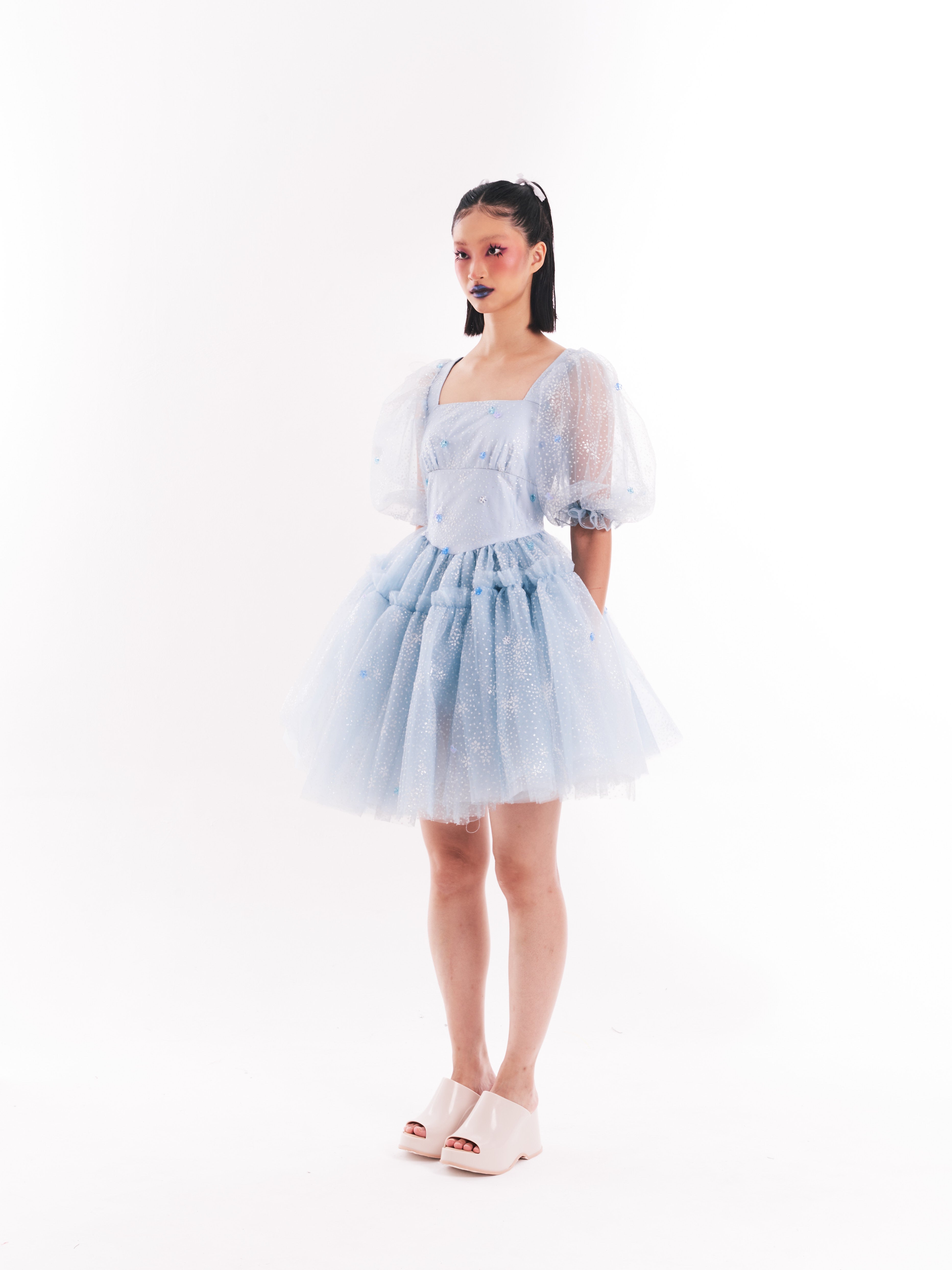 Blue Princess Tutu Dress