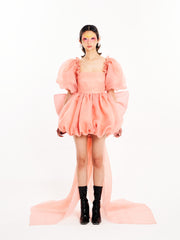 Peach Bow-Backed Dress